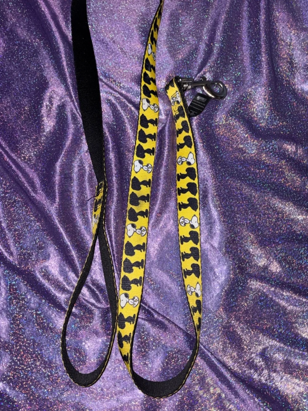 Snoopy Dog Leash